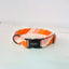 Shooting Star Collar