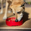 Santa Christmas eBowl Deep Slow Feeder Dog Bowl for Enrichment | USA Made