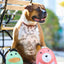 Dilly Duck Natural Rope Knottie® Dog Toy, Large (9mm diameter)