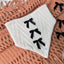 Trick or Chic Dog Bandana
