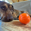 Squeak Ball - Durable Squeaky Dog Toy, Floats, Chew Toy | USA Made