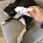 Instant Ear Cleaner For Dogs 12 oz or 1 gallon - Professional Size - Removes Wax and Odor