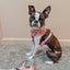 Dog Adjustable Harness - Dough My Goodness
