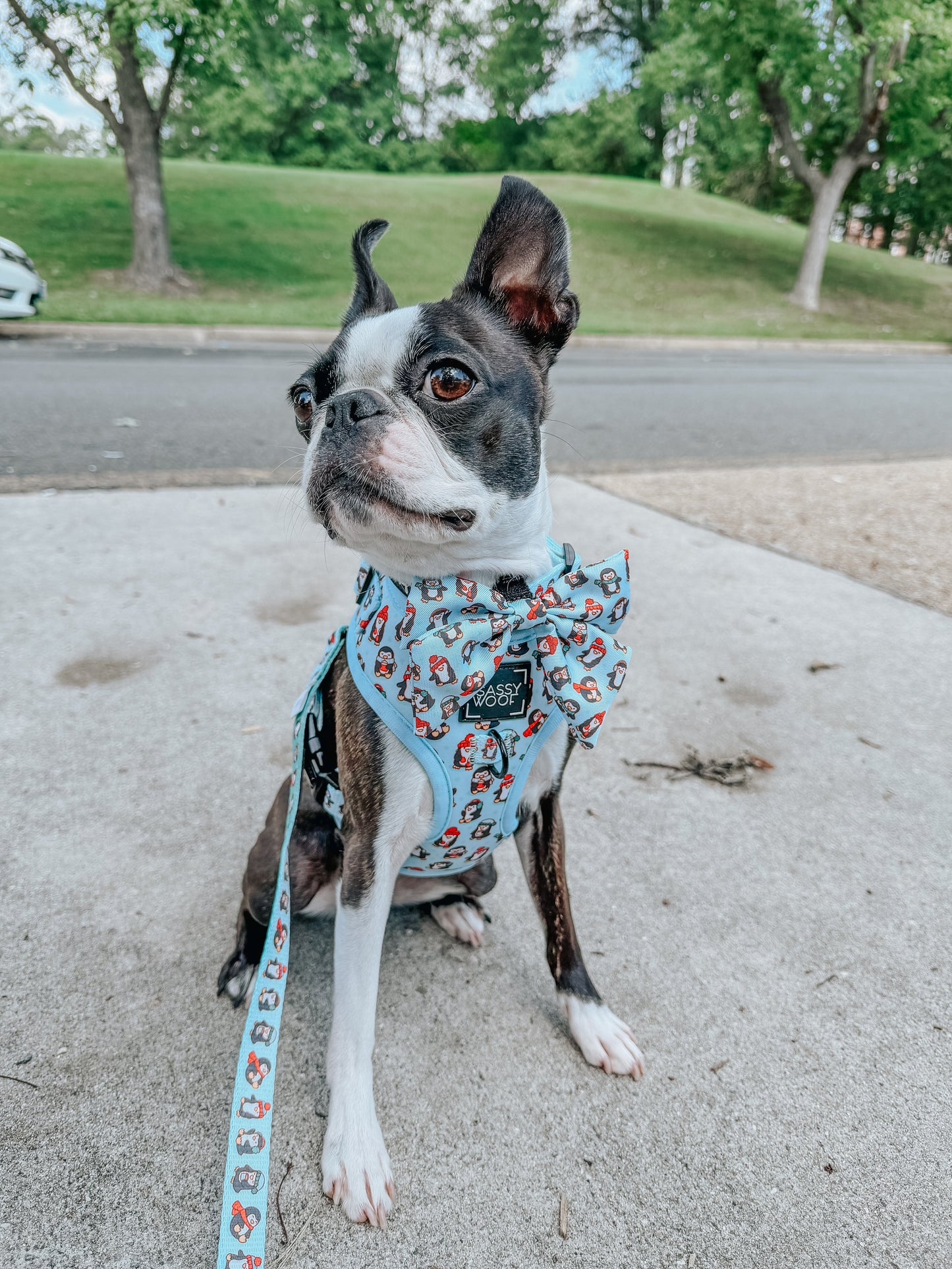 Dog Adjustable Harness - Winter Waddleland