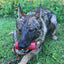 USA-K9 Firecracker Floating Training Dummy | K9 Handler Reward Toy | Red | USA Made