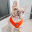 Dog Adjustable Harness - Foxy