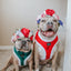 Dog Adjustable Harness - Naughty
