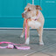 Dog Leash - BARBIE™ Malibu