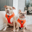 Dog Adjustable Harness - Foxy
