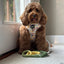 Dog Adjustable Harness - Disney's Belle