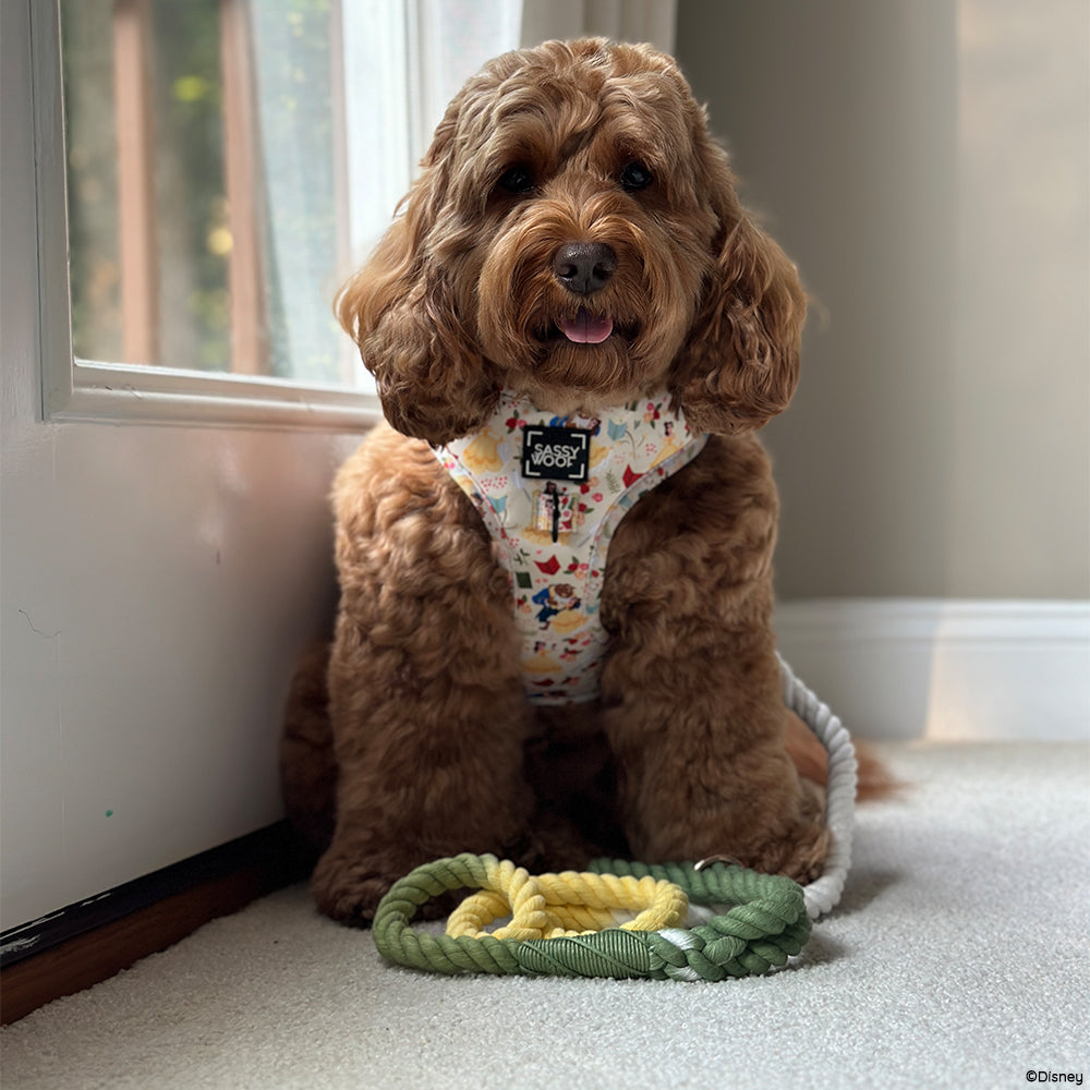 Dog Adjustable Harness - Disney's Belle