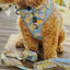 Dog Leash - Patch Perfect