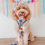 Dog Adjustable Harness - Love You Fur You