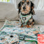 Dog Adjustable Harness - STAR WARS™ The Child™
