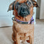 Dog Collar - Willy Wonka & The Chocolate Factory™