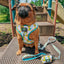 Dog Adjustable Harness - SpongeBob SquarePants™ Bikini Bottom