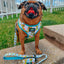 Dog Leash - SpongeBob SquarePants™ Bikini Bottom