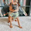 Dog Adjustable Harness - Haunt Mess