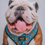 Dog Adjustable Harness - Nickelodeon CatDog™