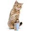 Kitty Cup Cat Tumbler Toy with Catnip & Crinkle Paper- Ideal Cat Birthday Gift