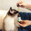 Suzie's CBD Drops For Cats, 125mg (10oz)