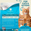 Earthborn Grain Free Wild Sea Catch Dry Cat Food