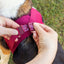 Curli Air Mesh Clasp Brown Vest Harness