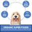 Dog Mamma's Organic Berry Banana Coconut Oven Baked Dog Treats 6oz