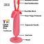 Vet Tech & Groomers Pro Brush Kit