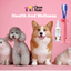 Chewmate Wound Care Antibacterial Spray