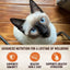Wellness Core Tiny Tasters Tuna & Salmon Wet Cat Food