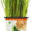 Pet Greens Organic Cat Grass
