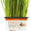 Pet Greens Organic Cat Grass