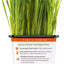Pet Greens Organic Cat Grass