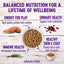Wellness Complete Health Indoor Healthy Weight Chicken & Turkey Dry Cat Food (5.5lb)