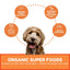 Dog Mamma's Organic Pumpkin Snaps Recipe Oven Baked Dog Treats (6oz)