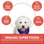 Dog Mamma's Organic Apple Cranberry Oven Baked Dog Treats (6oz)