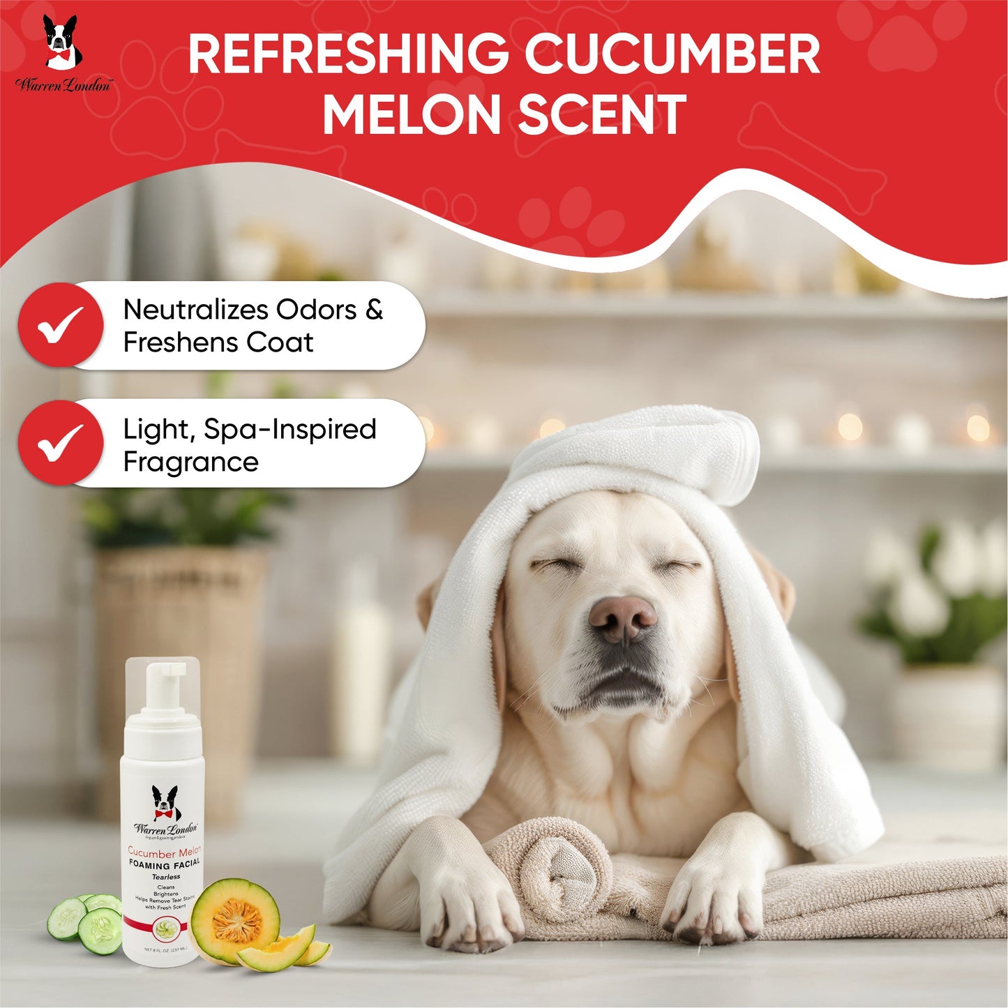 Cucumber Melon Foaming Facial - Professional Size - Refill