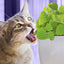 Pet Greens All Natural Live Catnip