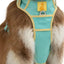 Island Vibes Ultimate Dog Harness