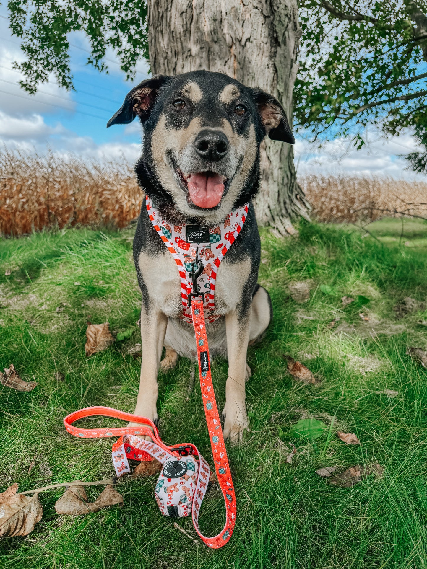 Dog Adjustable Harness - Hot Cocoa Club