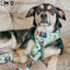 Dog Adjustable Harness - The Powerpuff Girls™ (Green)