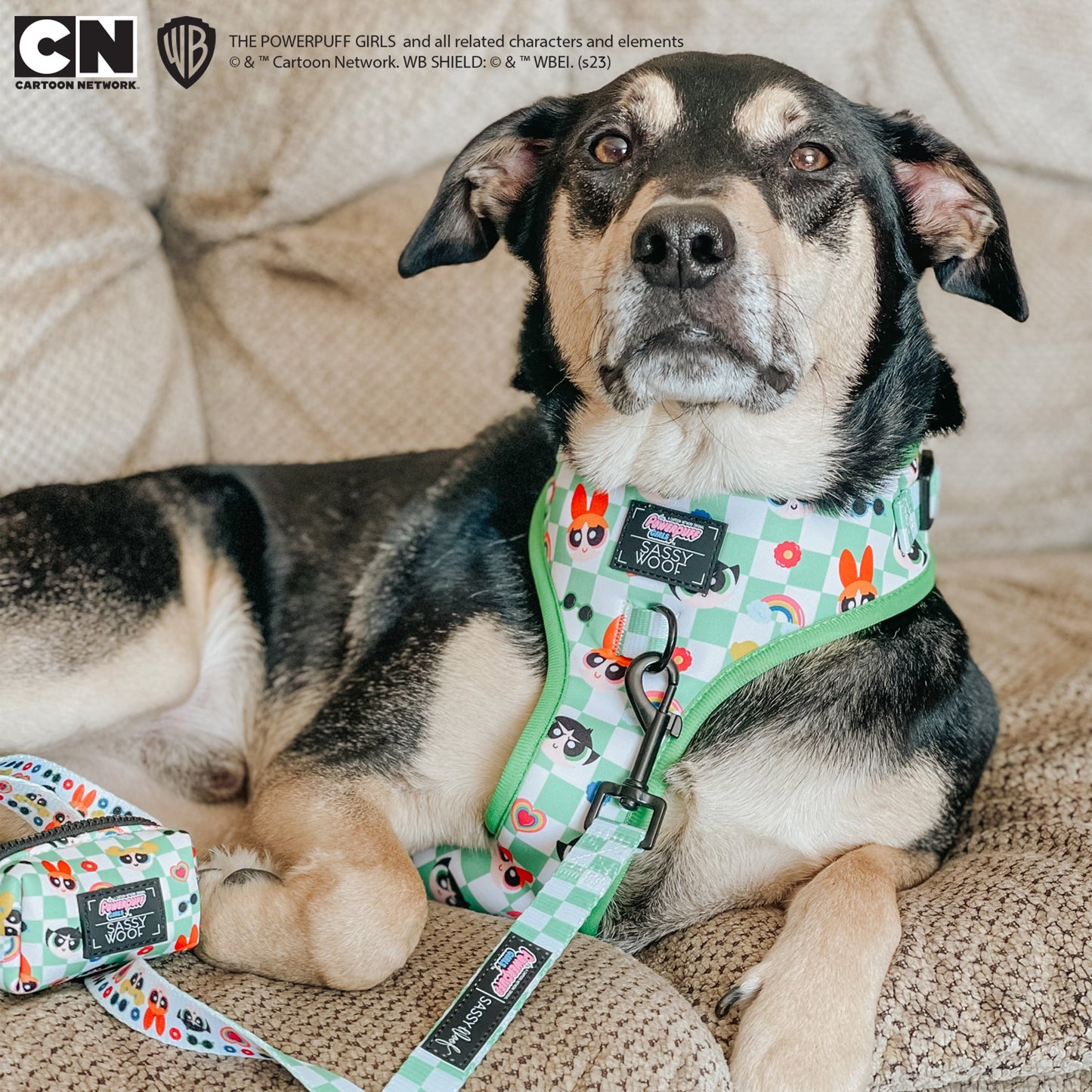 Dog Adjustable Harness - The Powerpuff Girls™ (Green)