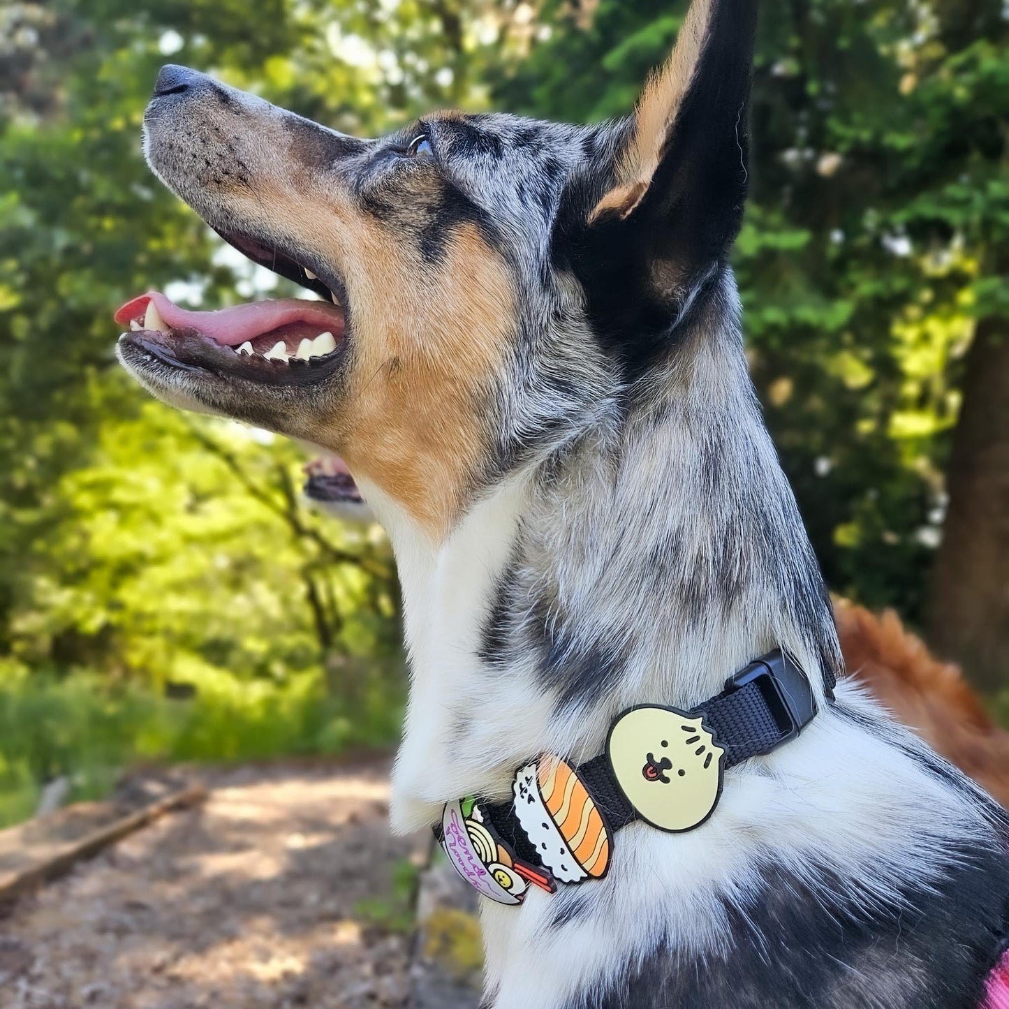 Bao Jiby Dog Charm