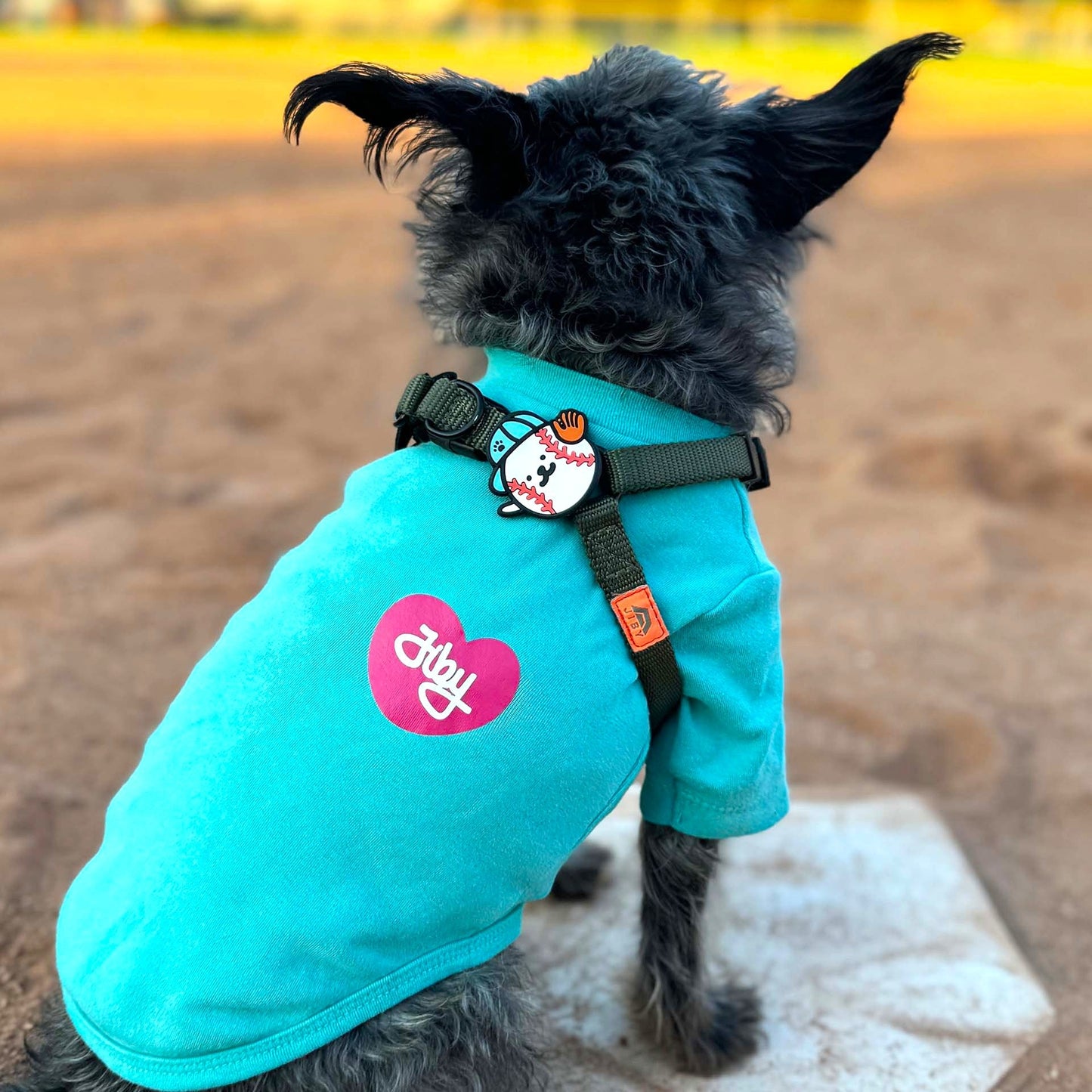 Baseball Jiby Dog Charm