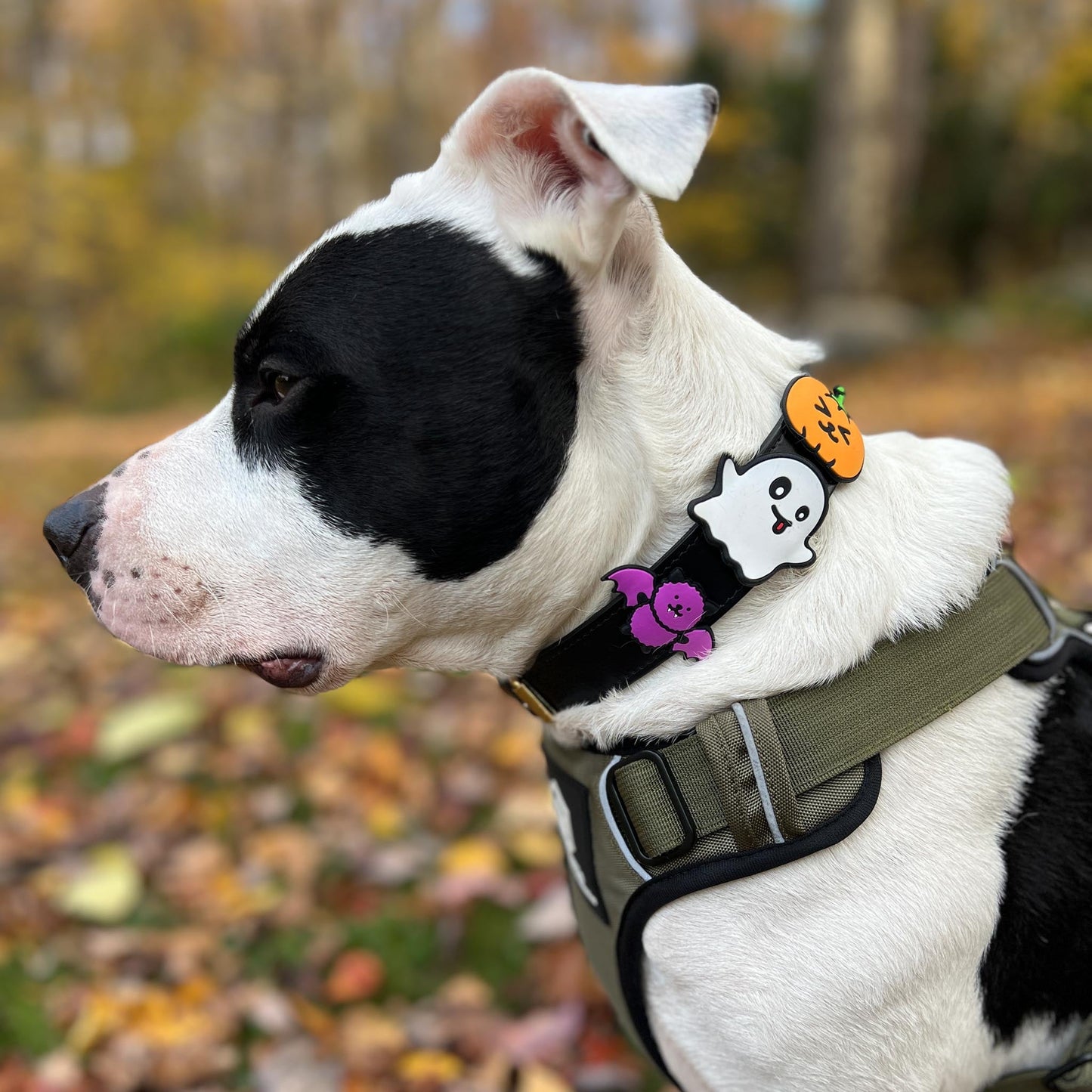 Ghost Jiby Dog Charm
