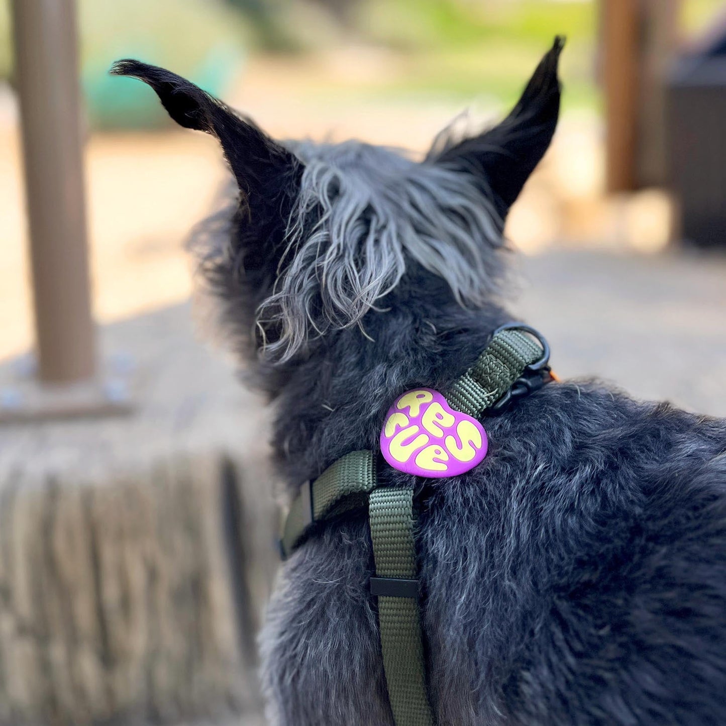 Rescue Orange Jiby Dog Charm