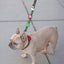 Santa Paws Jiby Dog Charm