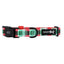 Dog Collar - Jingle Barks