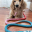 Dog Rope Leash - Jack & Jill